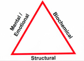 Triangle of Health